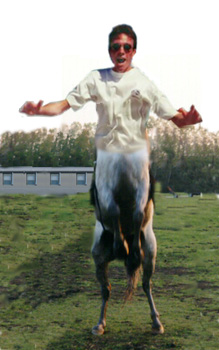 Dave