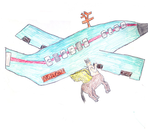 My Flight