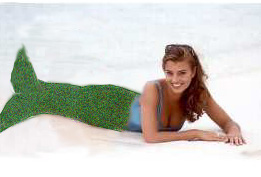 Look Who Washed Up on the Beach