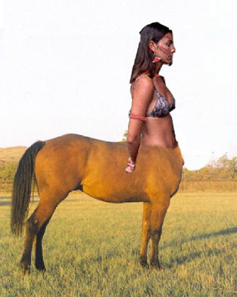 Niftytaur 1