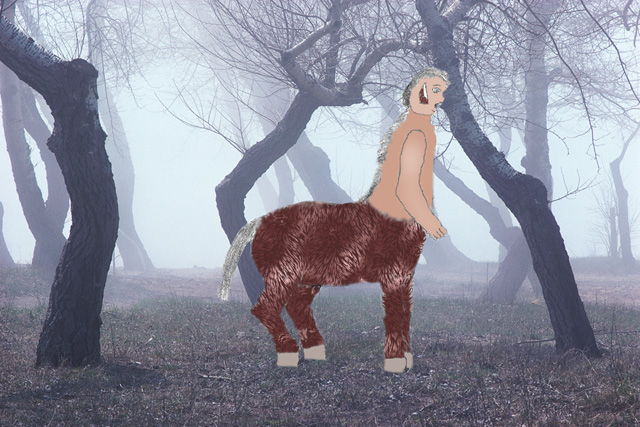 'Taur in the Woods