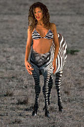 Zebrataur 1