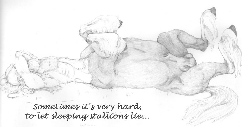 Sleeping Stallion