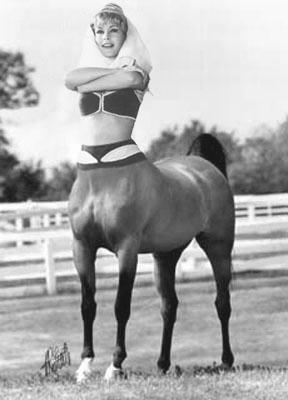 Jeannietaur