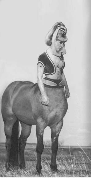 A Musing Jeannietaur