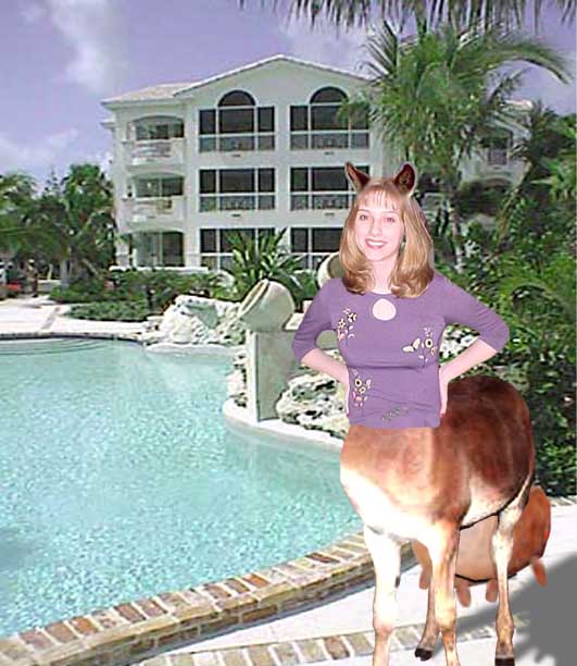 Tina the Jackasscowtaur