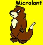 Microlont